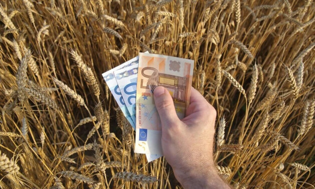 «Εγκατάσταση Νέων Γεωργών»: Τέλη Σεπτεμβρίου η ολοκλήρωση της πρώτης φάσης πληρωμών