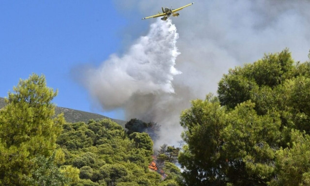 Φωτιά στη Μάνη: Επιχειρούν με το πρώτο φως της ημέρας τα εναέρια μέσα - Δεν απειλούνται σπίτια