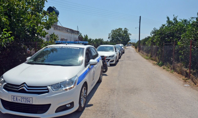 Ηράκλειο: Μεγάλη επιχείρηση της αστυνομίας - Εντοπίστηκαν πάνω από 1.000 δενδρύλλια κάνναβης