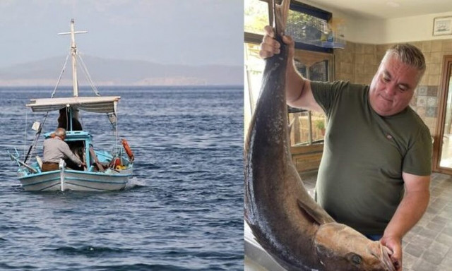Ψάρι - γίγας στο Κόκκινο Νερό Λάρισας: Δείτε πόσο ζύγιζε το μαγιάτικο που πιάστηκε στα δίχτυα ψαρά