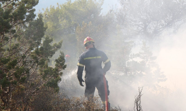 Πυροσβεστική: 40 δασικές πυρκαγιές το τελευταίο 24ωρο
