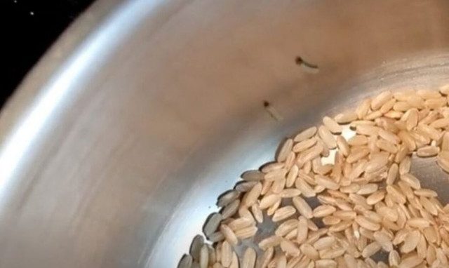 Χανιά: Άνοιξε καινούρια συσκευασία με ρύζι και… αηδίασε με αυτό που είδε!