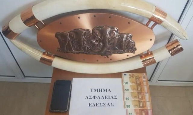 Πέλλα: 47χρονος προσπαθούσε να πουλήσει κατεργασμένο ελεφαντόδοντο στο διαδίκτυο