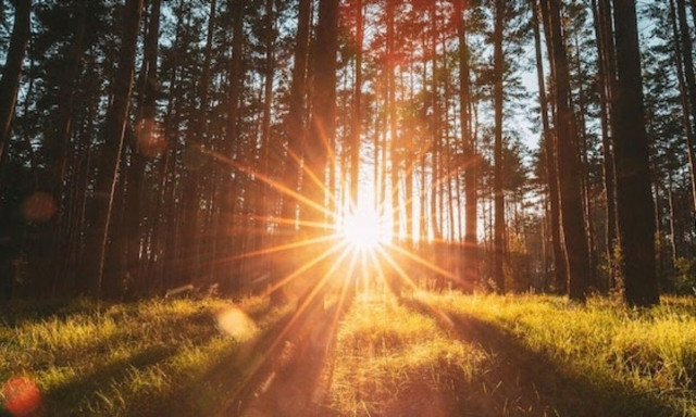 Το Μέγαρο Μουσικής στηρίζει τους κατοίκους της Βόρειας Εύβοιας