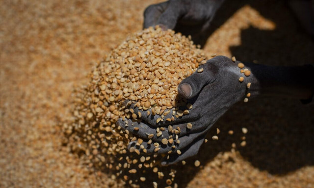 Τρομάζουν τα στοιχεία του ΟΗΕ: Ο λιμός απειλεί ένα εκατ. ανθρώπους σε όλο τον κόσμο
