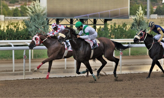 Τρία ΣΚΟΡ και 6 δυνατές ελληνικές ιπποδρομίες τη Δευτέρα στο Markopoulo Park