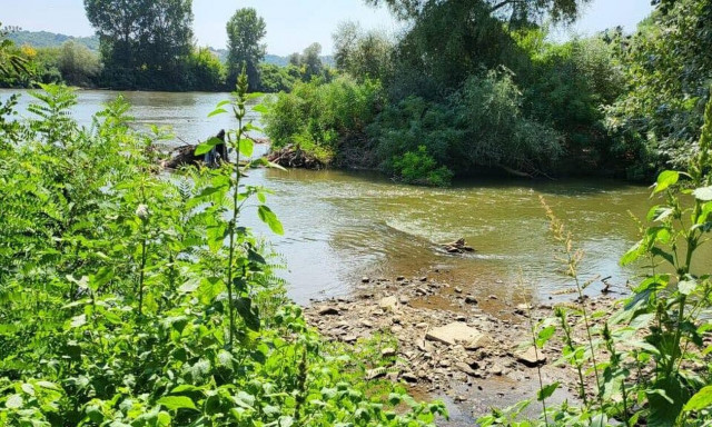 Απάντηση Μηταράκη για τους 38 του Έβρου: «Δεν υπάρχει νεκρό παιδί, σε τουρκικό έδαφος οι μετανάστες»