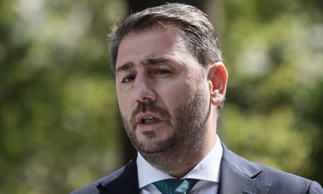 Ανδρουλάκης προς Στόλτενμπεργκ: Ο Ερντογάν μιμείται τον Πούτιν, εσείς τον Πόντιο Πιλάτο