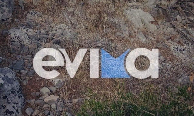 Κάρυστος: Συνελήφθησαν 50 λαθρομετανάστες στο Κάβο Ντόρο