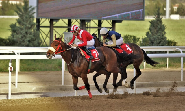 Τρία ΣΚΟΡ και 7 δυνατές ελληνικές κούρσες τη Δευτέρα στο Markopoulo Park