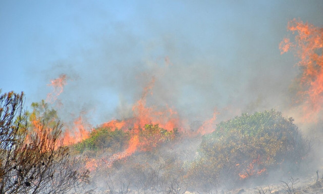 Φωτιά τώρα στη Ζάκυνθο - Επιχειρούν ισχυρές επίγειες και εναέριες δυνάμεις