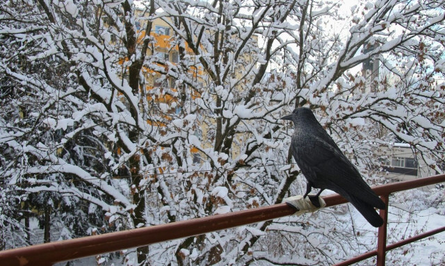 Δυσοίωνες προβλέψεις: Ο βαρύς χειμώνας σε συνδυασμό με την ενεργειακή κρίση τρομάζει την Ευρώπη