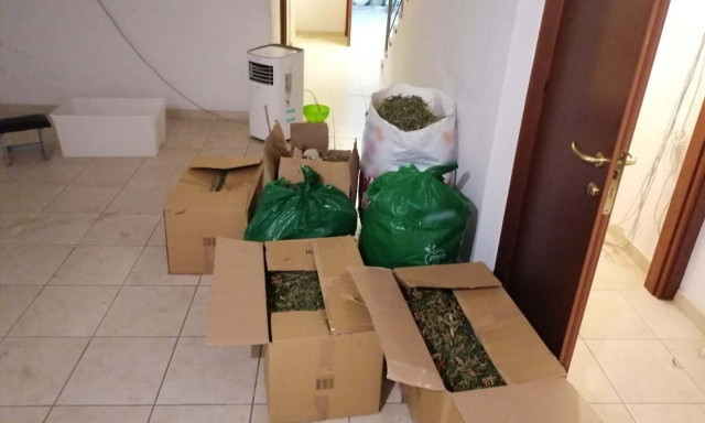 Θεσσαλονίκη: Έστησαν εργαστήριο κάνναβης σε μονοκατοικία - Διακινούσαν τα ναρκωτικά με ταξί