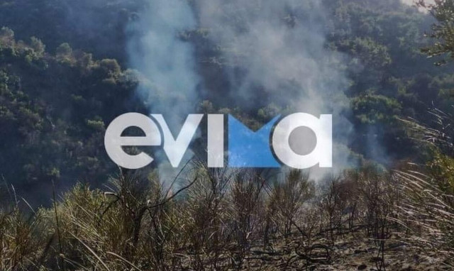 Φωτιά στα Ψαχνά Ευβοίας