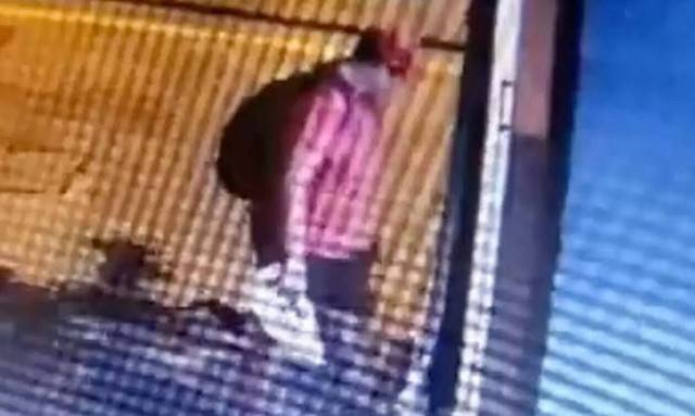 Θεσσαλονίκη: Πρόστιμο 30.000 ευρώ στον 39χρονο που σκότωσε γατάκι