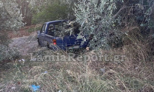 Λαμία: Έφυγε στην κατηφόρα και «προσγειώθηκε» στις ελιές
