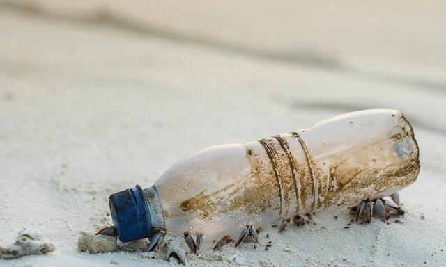 Απαντήσεις σε κάθε απορία για την προστασία του περιβάλλοντος δίνει η WWF Ελλάς