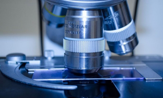 Μελέτη: Τα κρούσματα καρκίνου του ήπατος αναμένεται να αυξηθούν κατά 55% έως το 2040