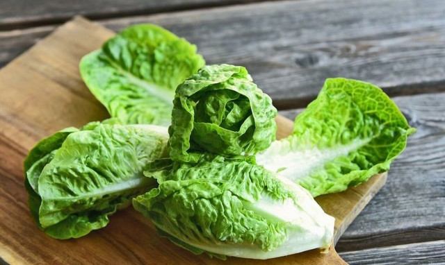 Στα 60 σεντ το Μαρούλι στην Ελλάδα, στα 8 ευρώ στην Αυστραλία