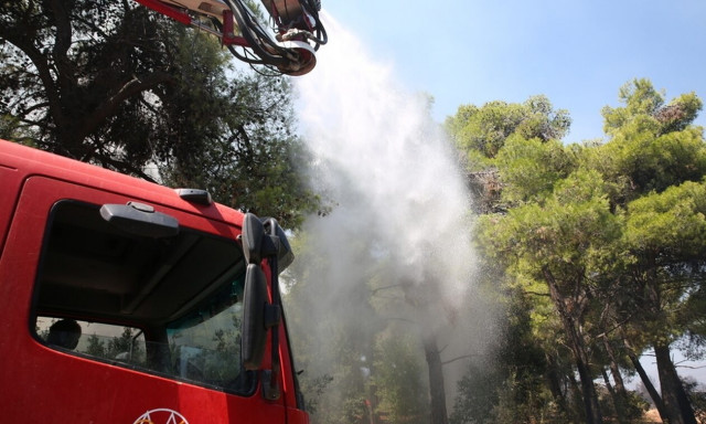 Συναγερμός στην Πυροσβεστική: Φωτιά στην Κεφαλονιά - Δεν απειλείται κατοικημένη περιοχή