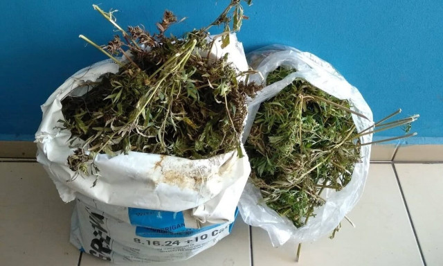 Καβάλα: Λιμενικοί βρήκαν κρυμμένα στα βράχια 2,3 κιλά κάνναβης