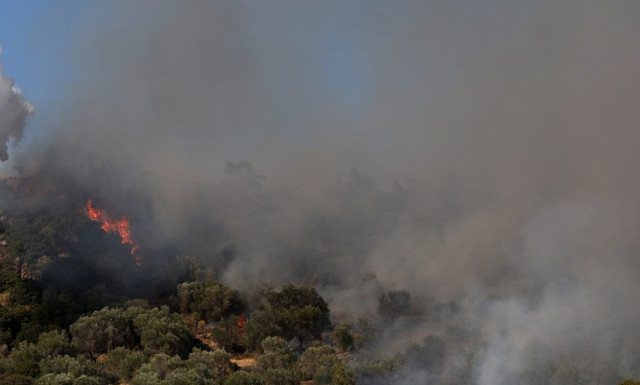 Φωτιά τώρα στο δάσος Κέρης