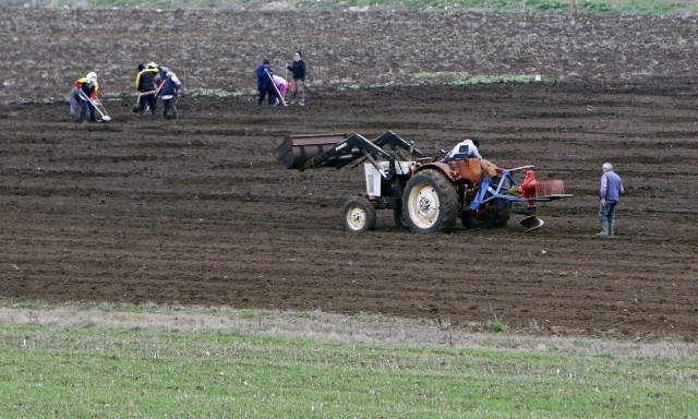Οικονομική ενίσχυση σε επιχειρήσεις γεωργικών εκμεταλλεύσεων