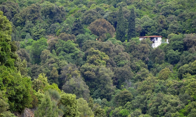 Τελευταία ευκαιρία για την τακτοποίηση αυθαιρέτων σε δάση