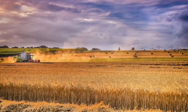 ΥΠΑΑΤ: Συνδεδεμένες ενισχύσεις στα σιτηρά για την περίοδο 2023-2027