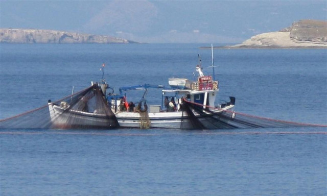 Κλιμακώνονται οι αντιδράσεις για την απαγόρευση της βιντζότρατας
