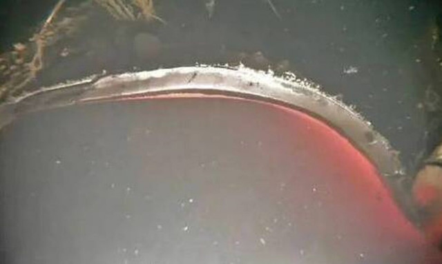 Nord Stream: Τα πρώτα πλάνα που δείχνουν το μέγεθος της καταστροφής