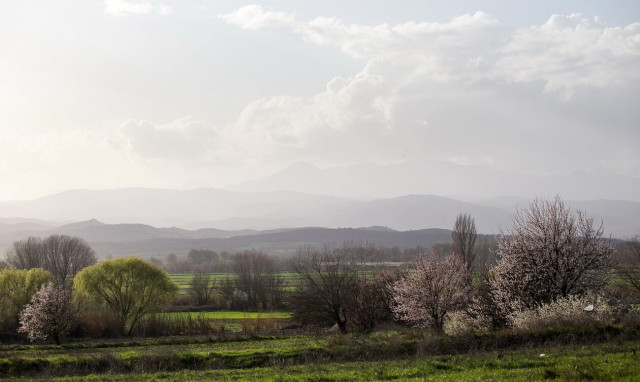 Παρασκευή με ήλιο και 25 βαθμούς – Η πρόγνωση για το Σαββατοκύριακο