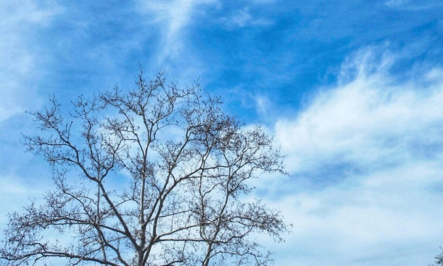 Καιρός: Ήλιος και αεράκι το Σάββατο - Μέχρι 25 βαθμούς η θερμοκρασία