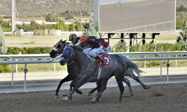 Η κορυφαία ιπποδρομία της χρονιάς τη Δευτέρα στο Markopoulo Park