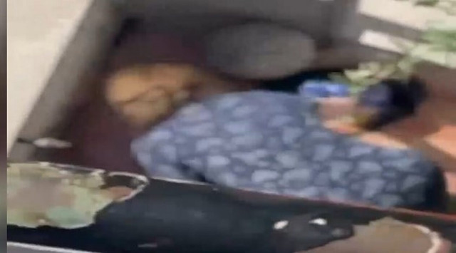 Νίκαια: Ηλικιωμένη σκοτώνει ανεξέλεγκτα και ανεμπόδιστα γάτες με φόλα