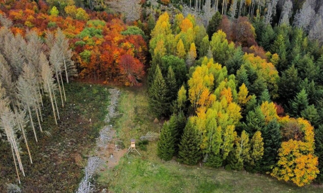 Έκθεση Lancet : Η κλιματική αλλαγή απειλεί την παγκόσμια υγεία