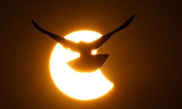 Μερική έκλειψη Ηλίου: Θεαματικές εικόνες που τραβήχτηκαν στην Ινδία