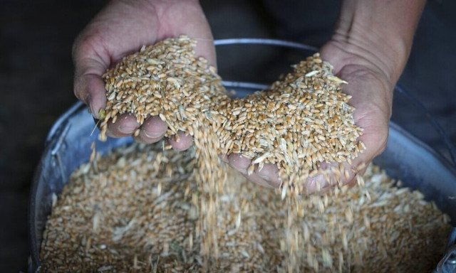 Ουκρανία: Αισιοδοξία στον ΟΗΕ για τη συμφωνία στις εξαγωγές σιτηρών