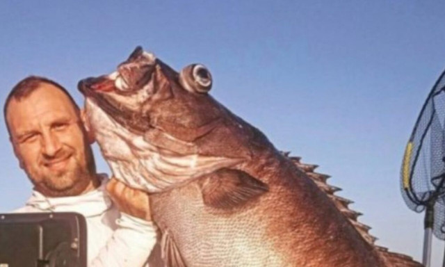 Κρητικοί ψαράδες «χτύπησαν» τεράστιο βλάχο