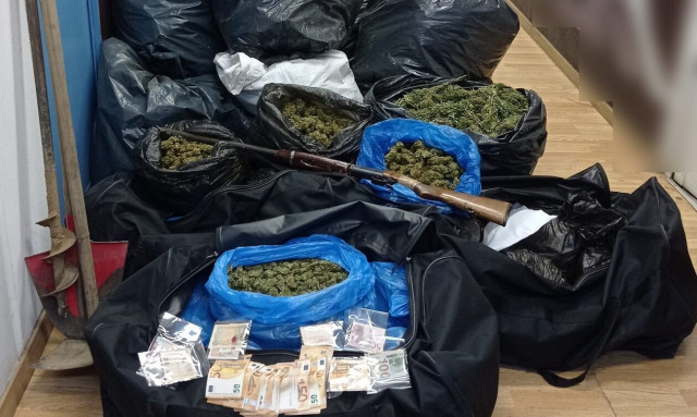 Εξαρθρώθηκε σπείρα που γέμιζε κάνναβη Ηλεία, Αττική και Φθιώτιδα