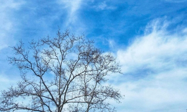 Weather forecast: Generally fair on Monday