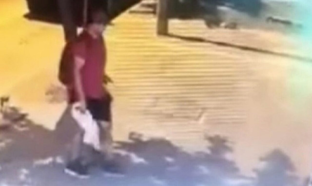 Θεσσαλονίκη: Δικηγόρος ο 39χρονος που ποδοπάτησε το γατάκι