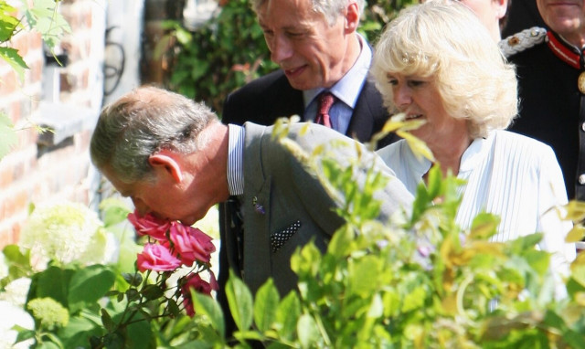 Ψάχνει κηπουρό ο Κάρολος – Η αγγελία και ο μισθός των... 46.000 ευρώ!