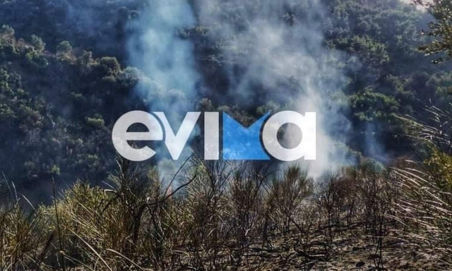 Δυο φωτιές τώρα στην Εύβοια – Στα χέρια των Αρχών δυο ύποπτοι