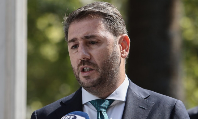 Νίκος Ανδρουλάκης