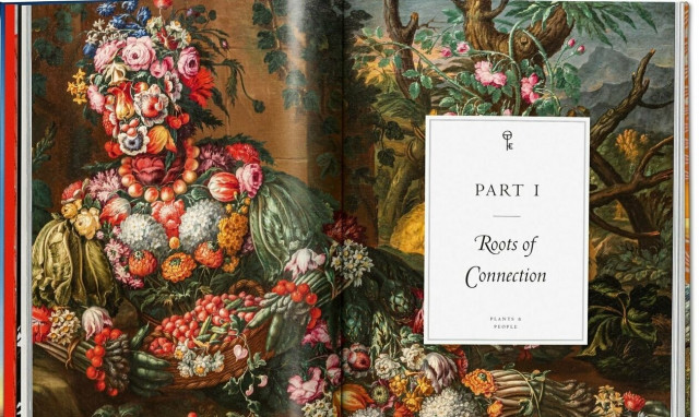 Στο λεύκωμα «Plant Magick», απόκρυφες συνδέσεις φυτών με το θείο