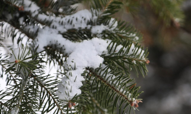 Κακοκαιρία «EVA»: Έφτασαν τα πρώτα χιόνια σε κορυφή των Τρικάλων