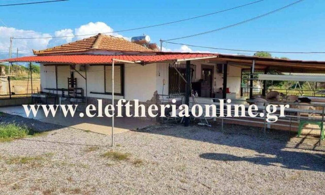 Τραγωδία στη Μεσσήνη: Ψάλτης ο 81χρονος που σκότωσε τη σύζυγό του