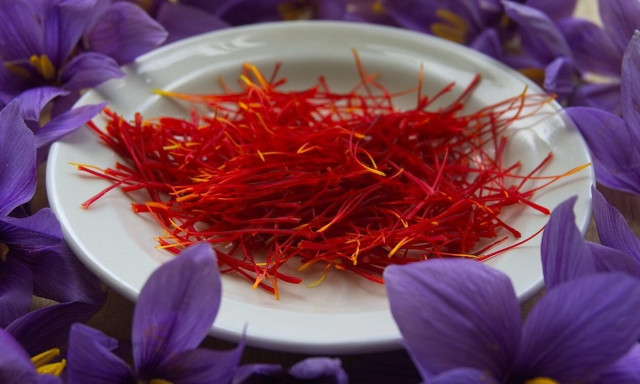 «Θύμα« της κλιματικής κρίσης ο Κρόκος Κοζάνης