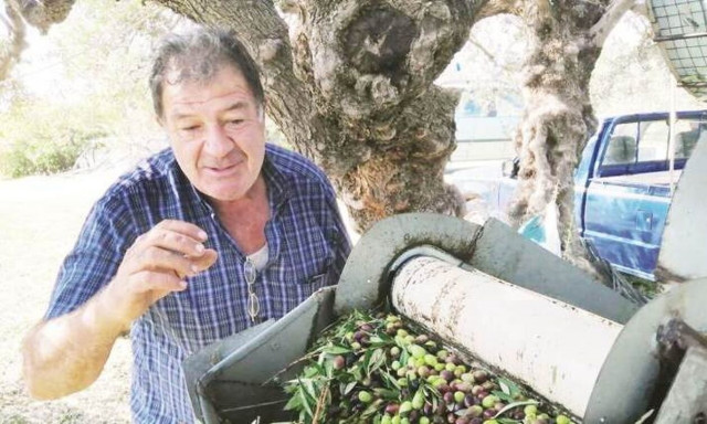 Κρητικός έφτιαξε μηχάνημα που ξεφυλλίζει 5 τσουβάλια ελιές σε 5 λεπτά